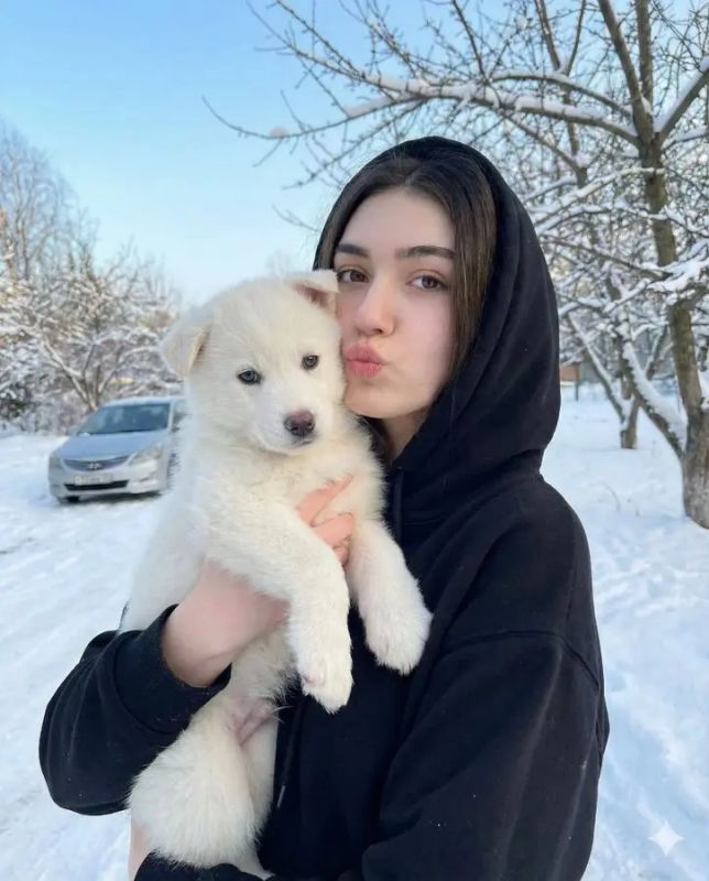 ✨ Зимний портрет с щенком